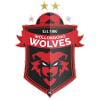 卧龙岗狼队 卧龙岗狼队